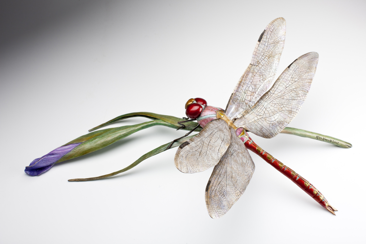 Dragonfly at Rest