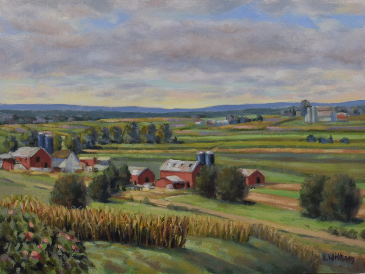 View of Amish Farms