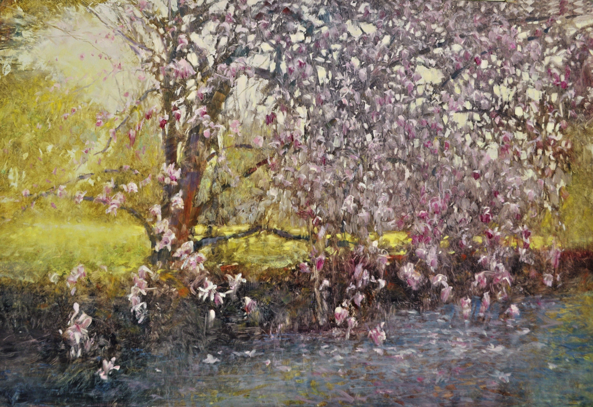 Magnolia Spring