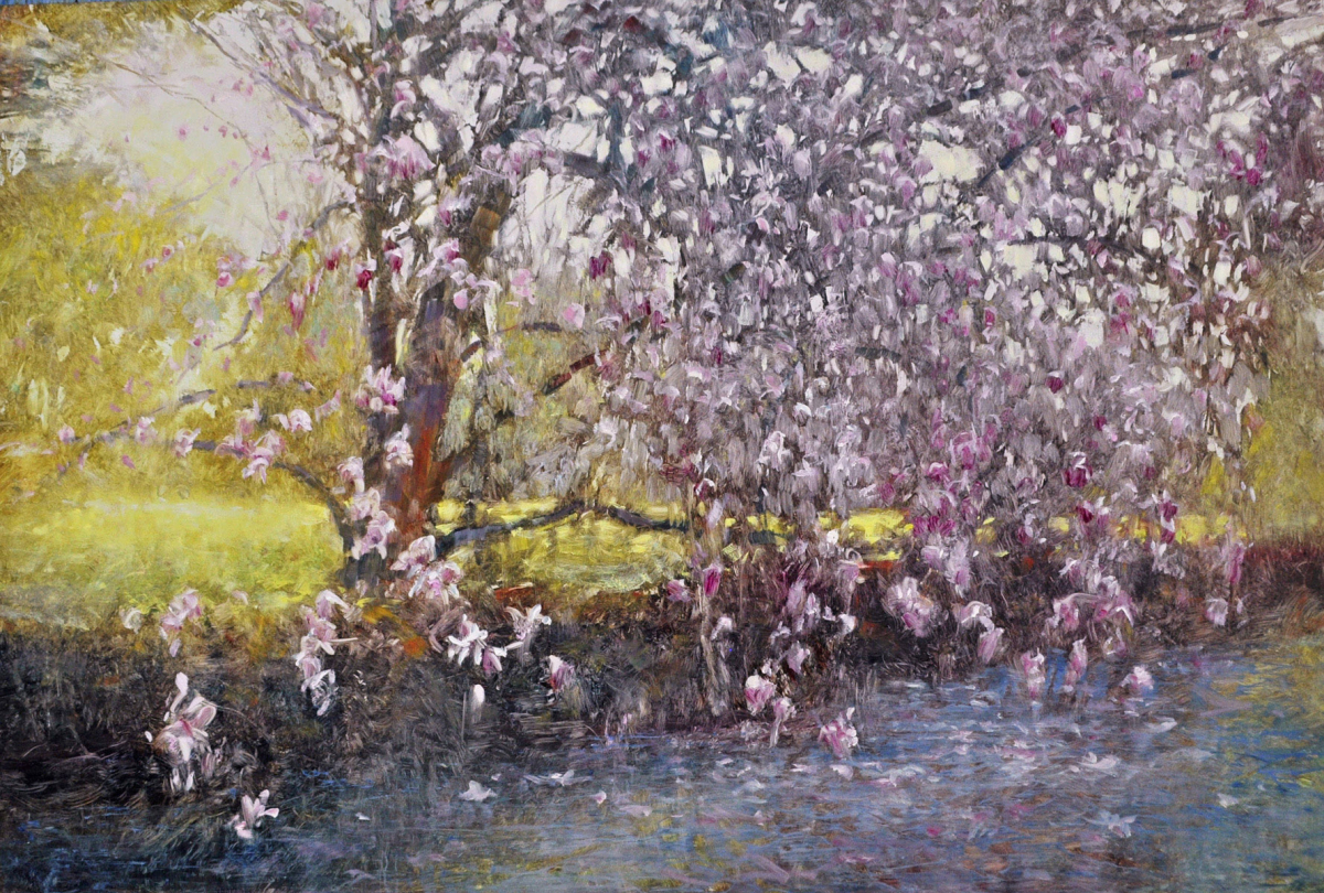 Magnolia Spring