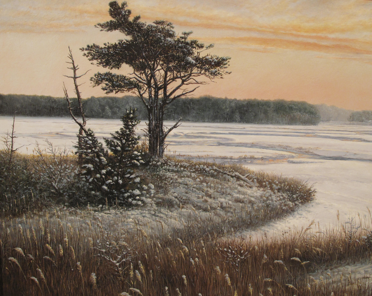 Winter on Blackfish Creek, Wellfleet