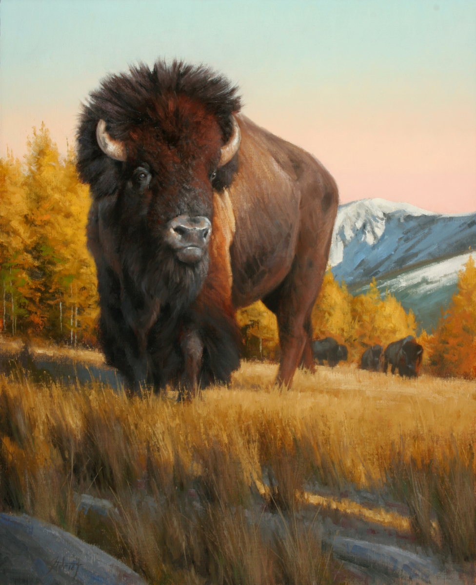 Autumn Bison