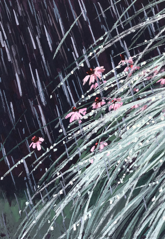 Summer Shower