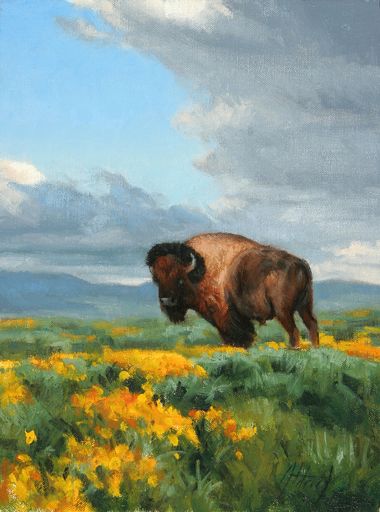 Bison