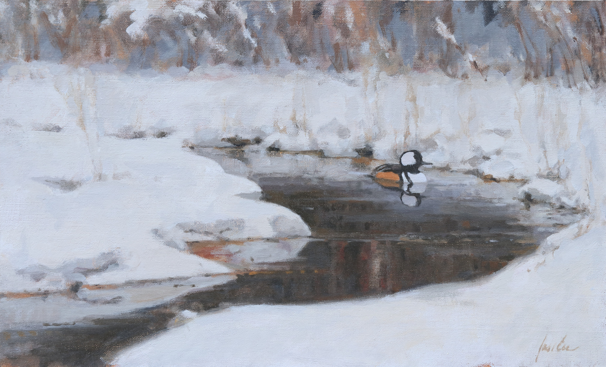 Merganser in the Snow