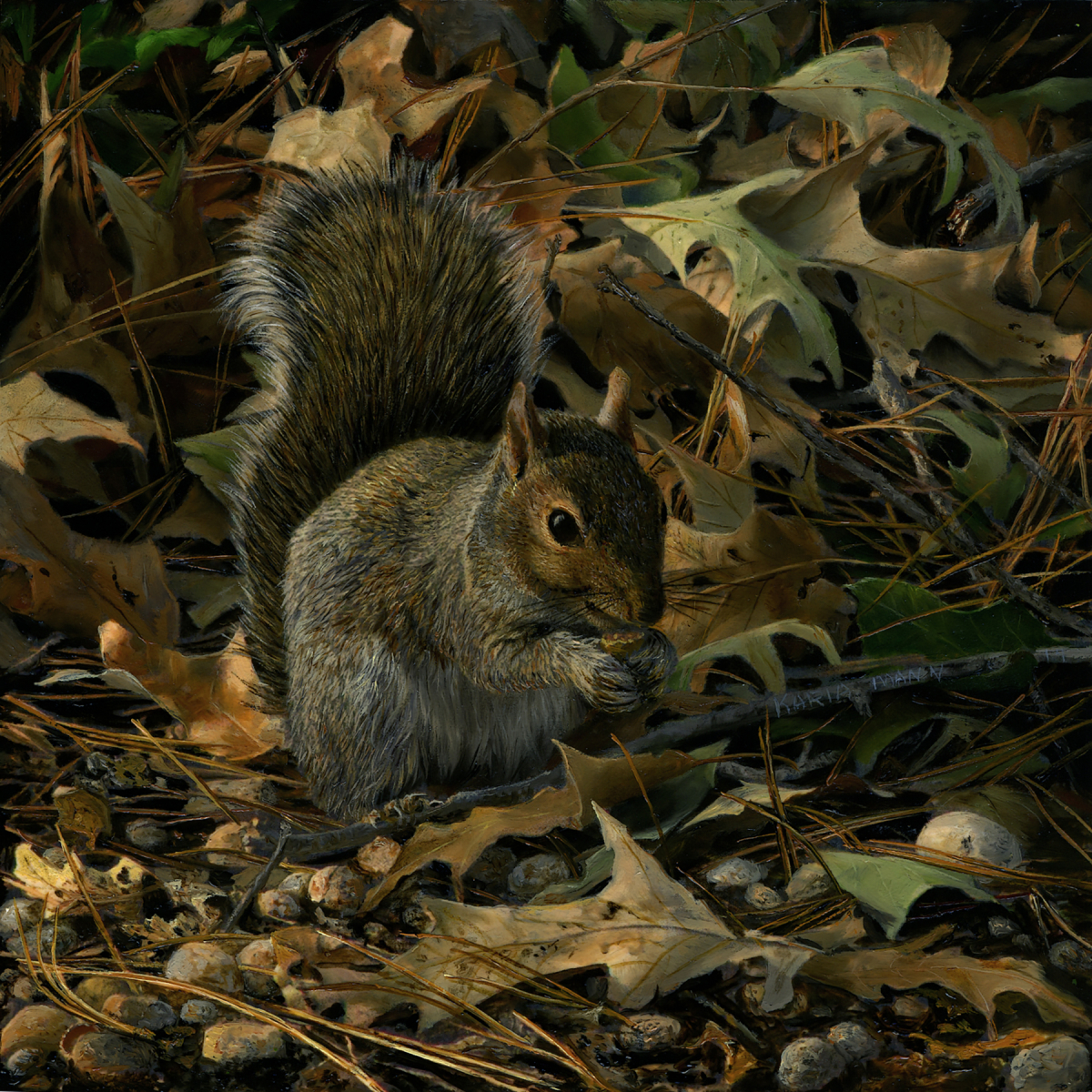 Acorns for Lunch