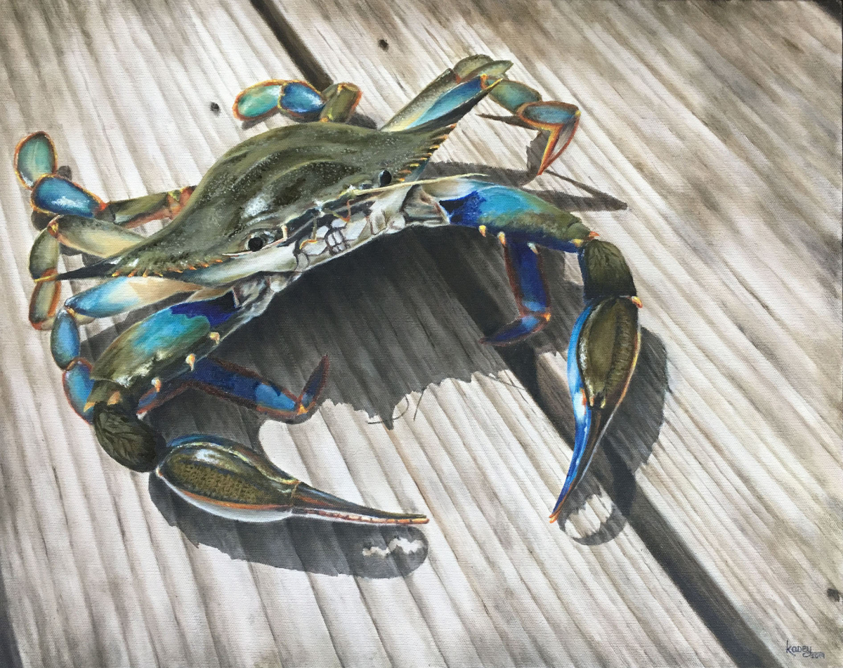 Crab on the Medeteconk