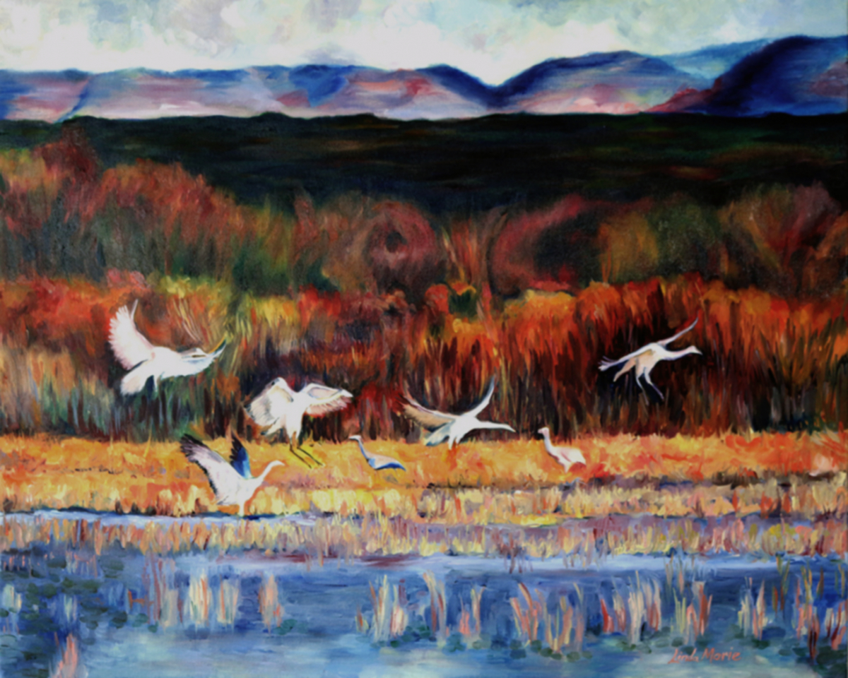 Bosque del Apache I