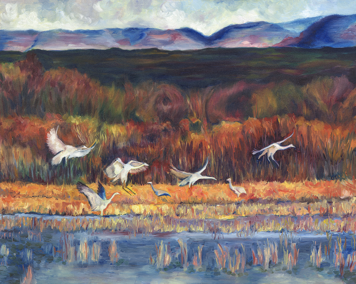 Bosque del Apache I