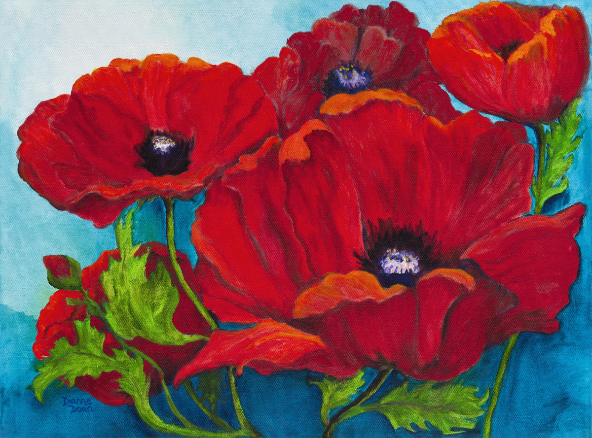 Quintet of Poppies