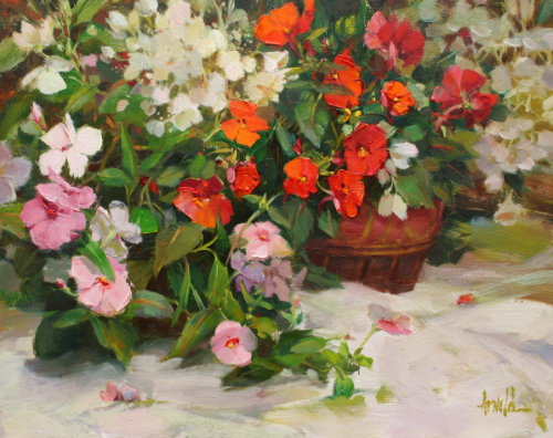 Impatiens