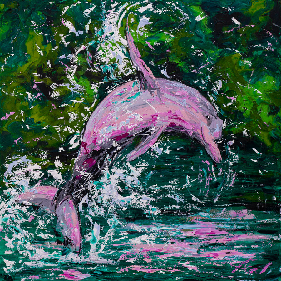 Boto Cor De Rosa (Amazon Pink Dolphin)