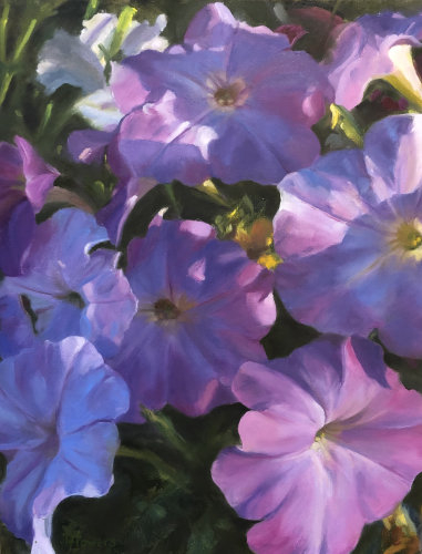 The Governor's Petunias