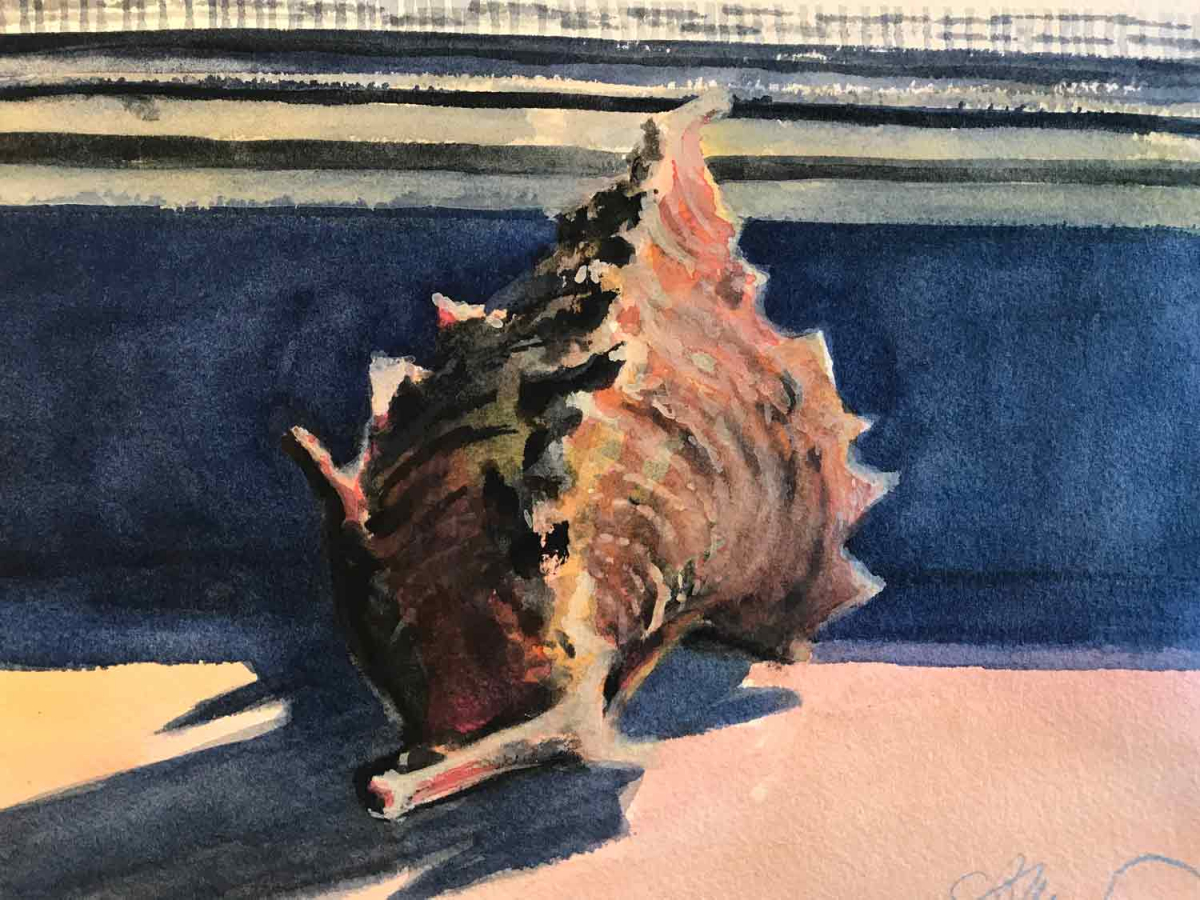 Horned Shell