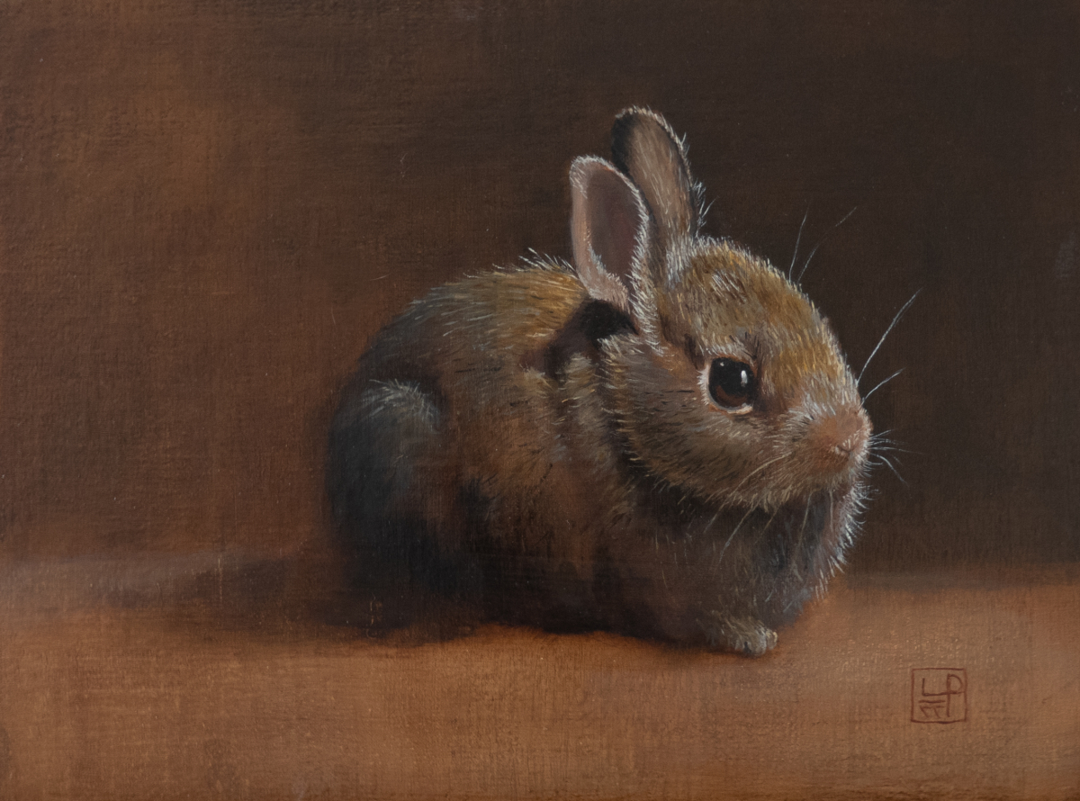 Young Rabbit