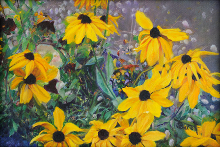 Black Eyed Susan's Bed