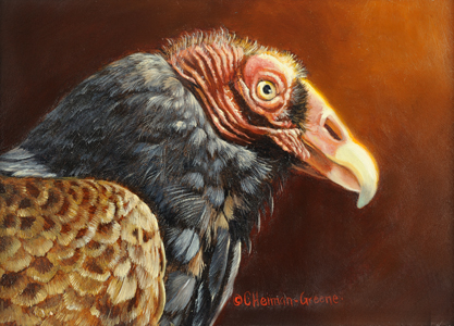 Year of the Turkey Vulture