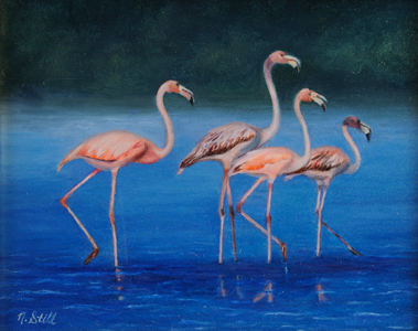 Flamingos