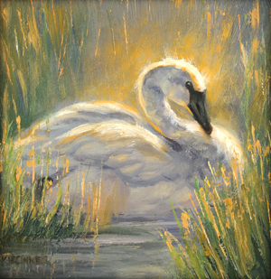 Divinity - Swan