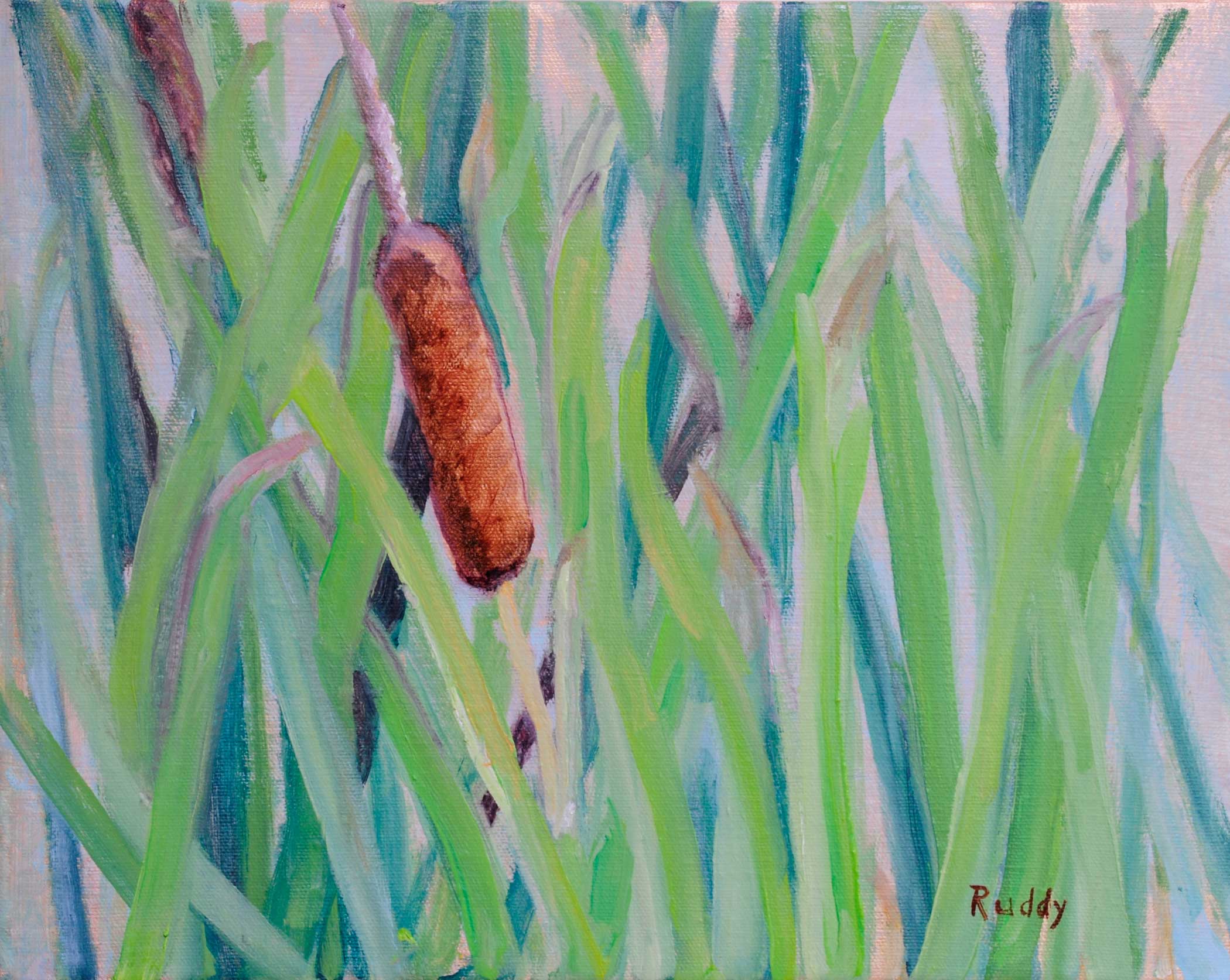 Summer Cattails