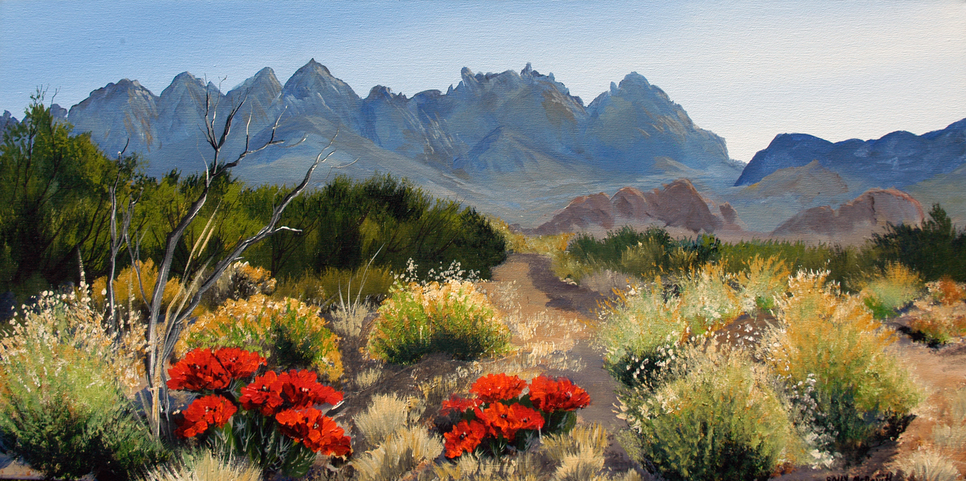 BARREL CACTUS AND ORGAN MOUNTAINS