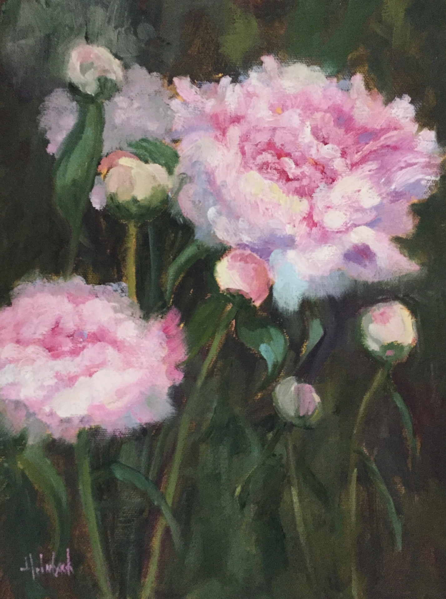 Fresh Peonies