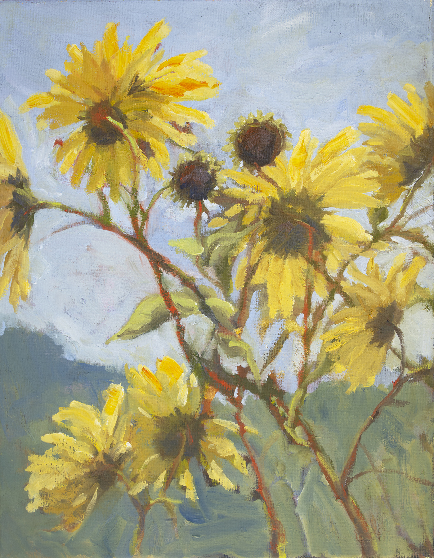 Wild Sunflowers