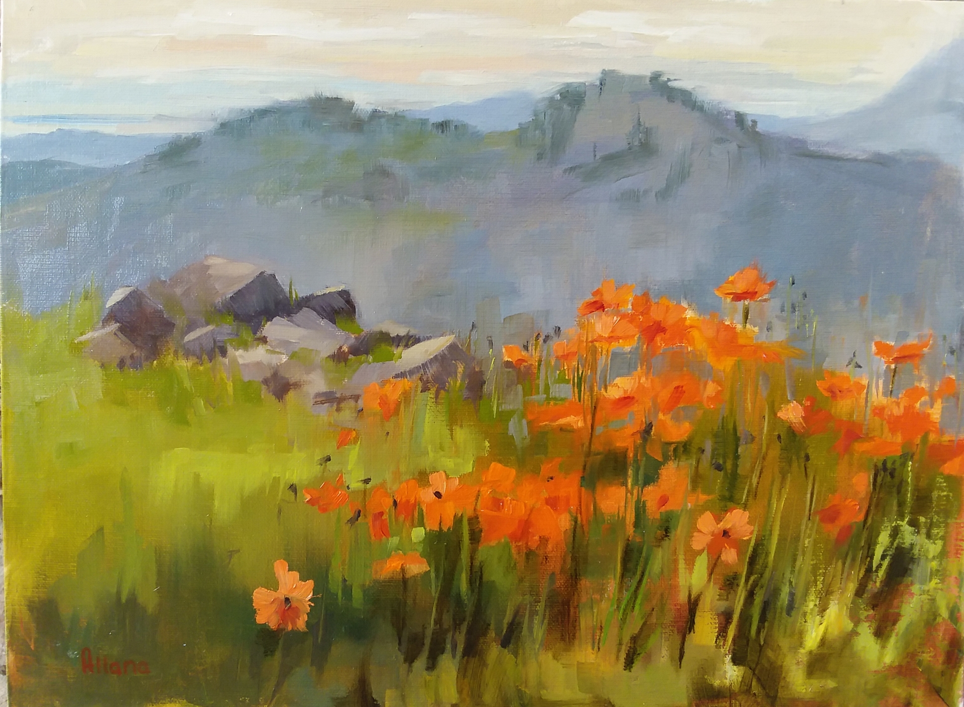 Mountain Poppies