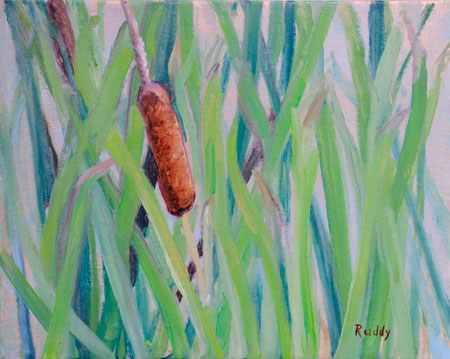 Summer Cattails