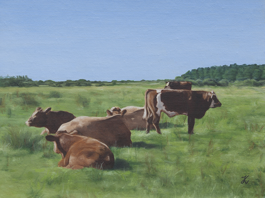 Cattle in English Pasture