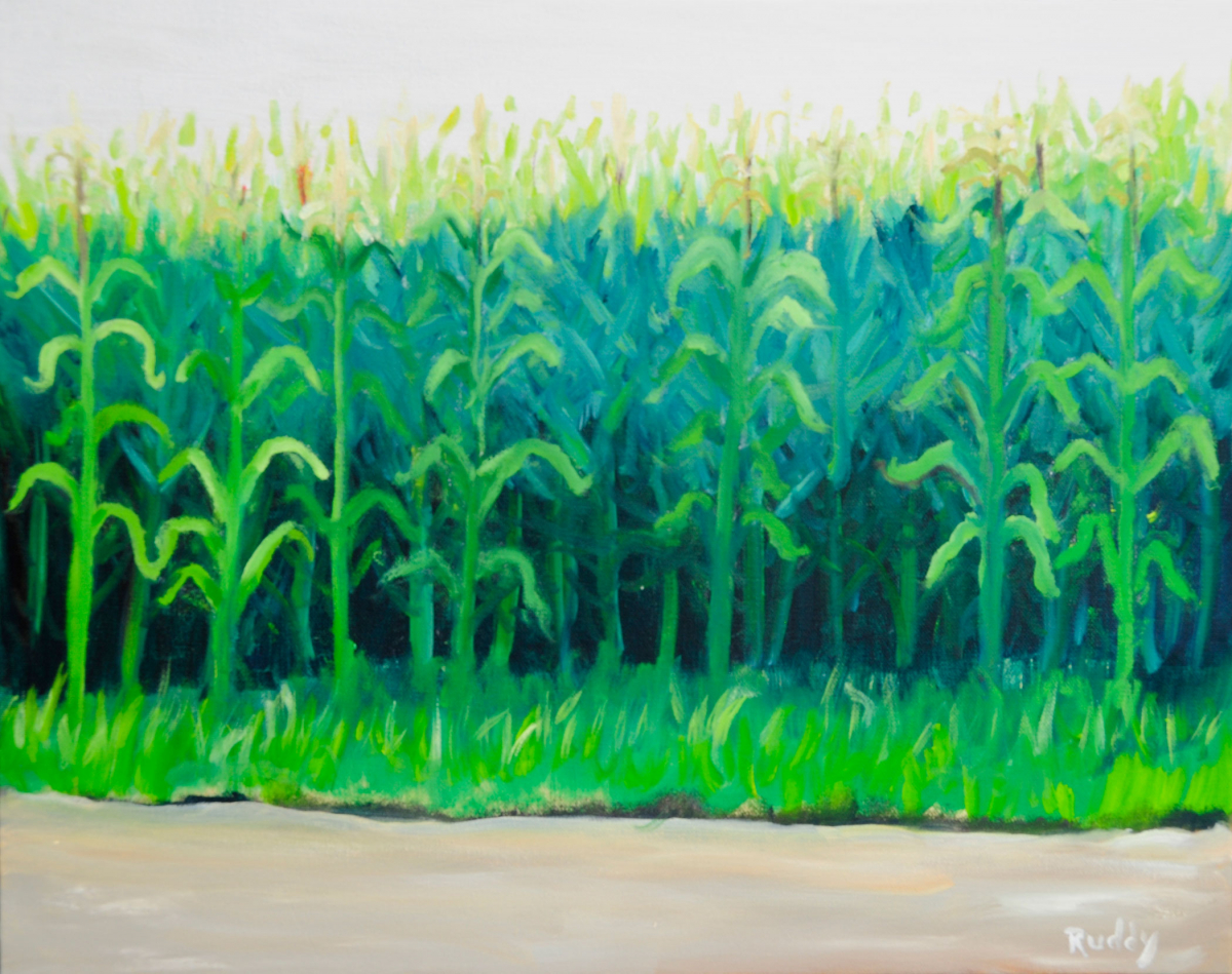 Corn Field