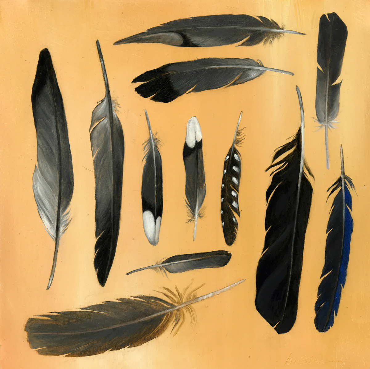 12 Feathers