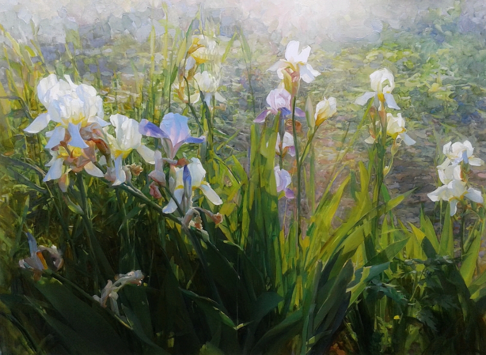 Rays, Irises