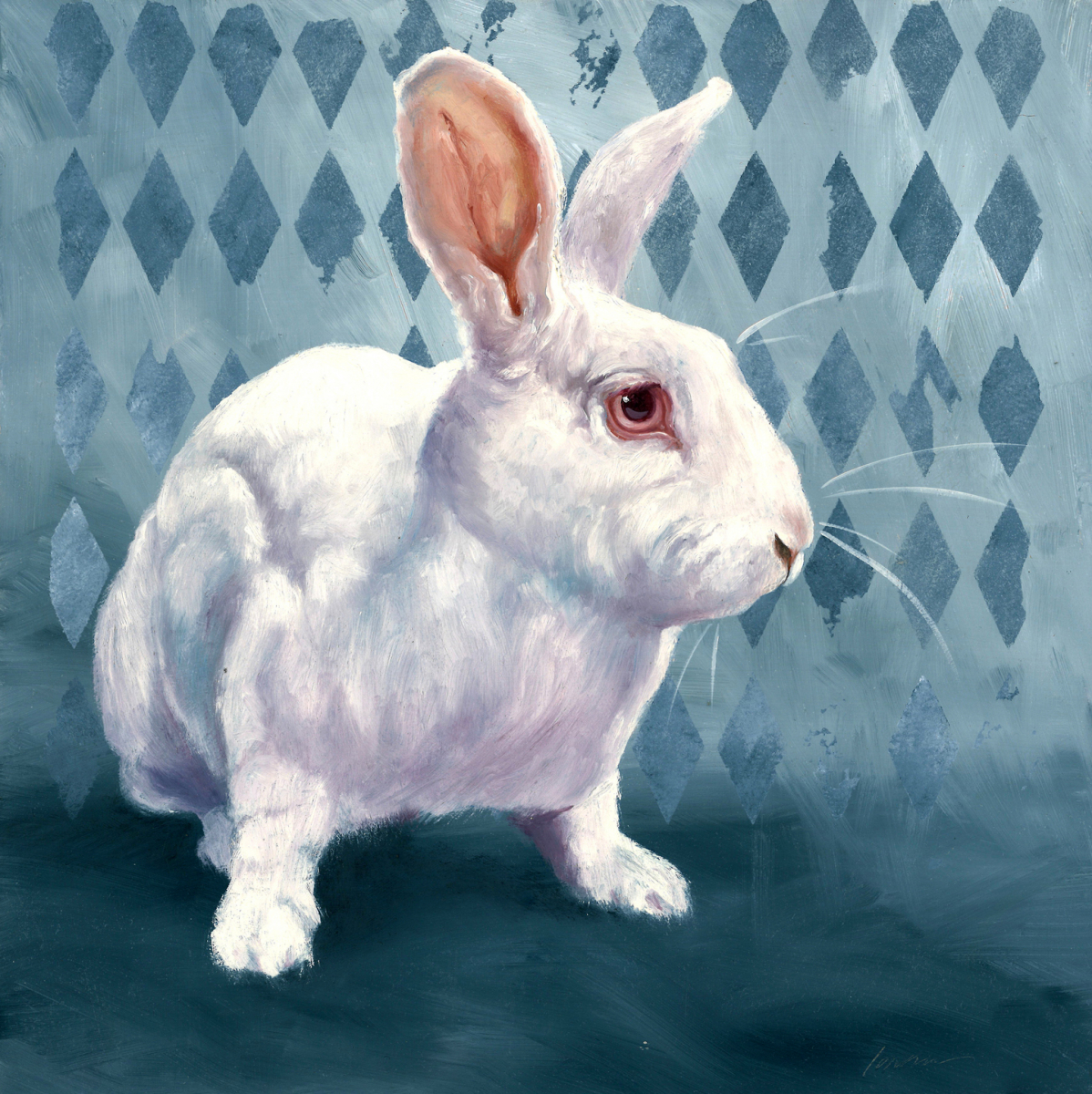 Harlequin Rabbit