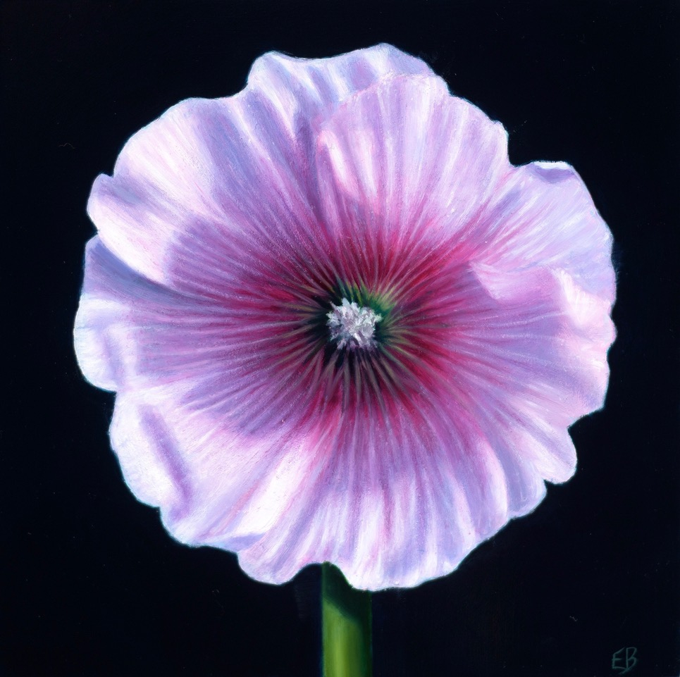 A Hollyhock for O'Keeffe