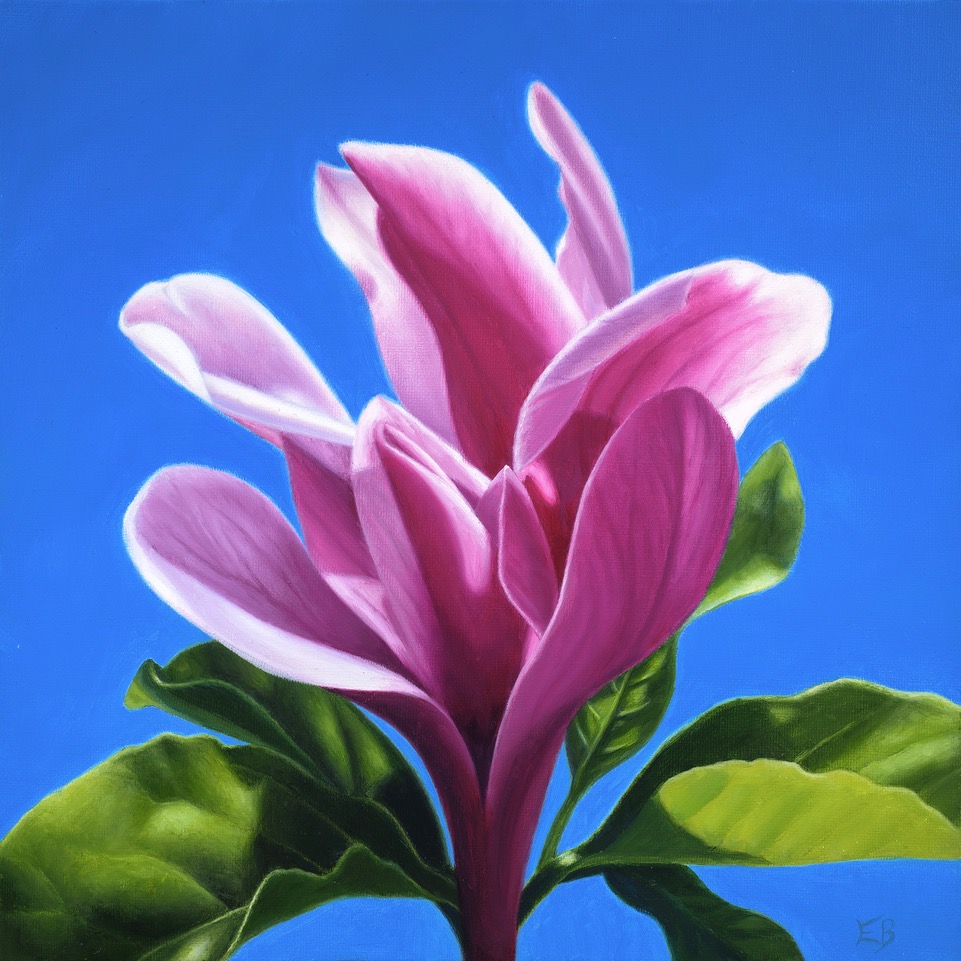 Vita's Magnolia