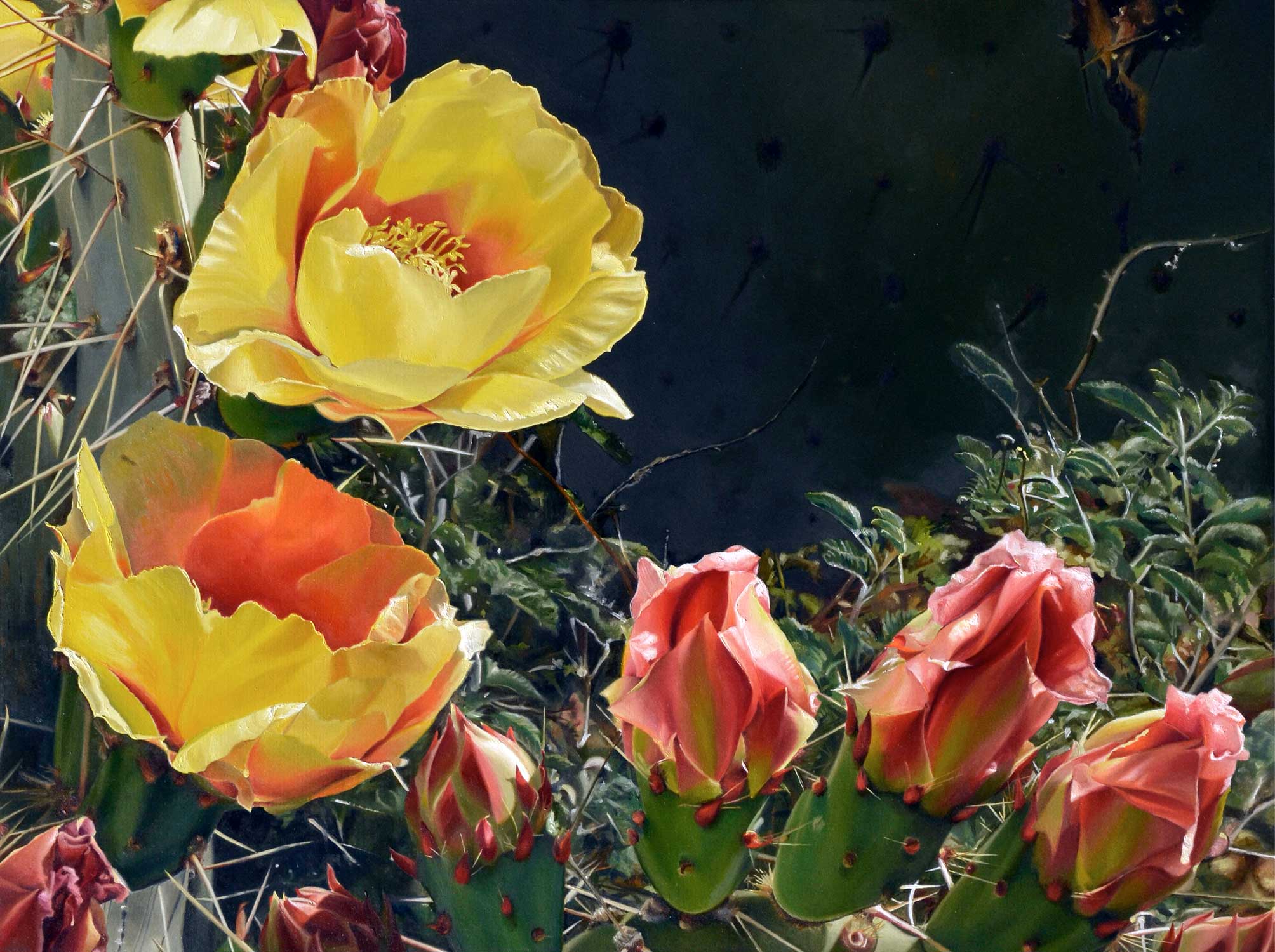 Desert Blooms