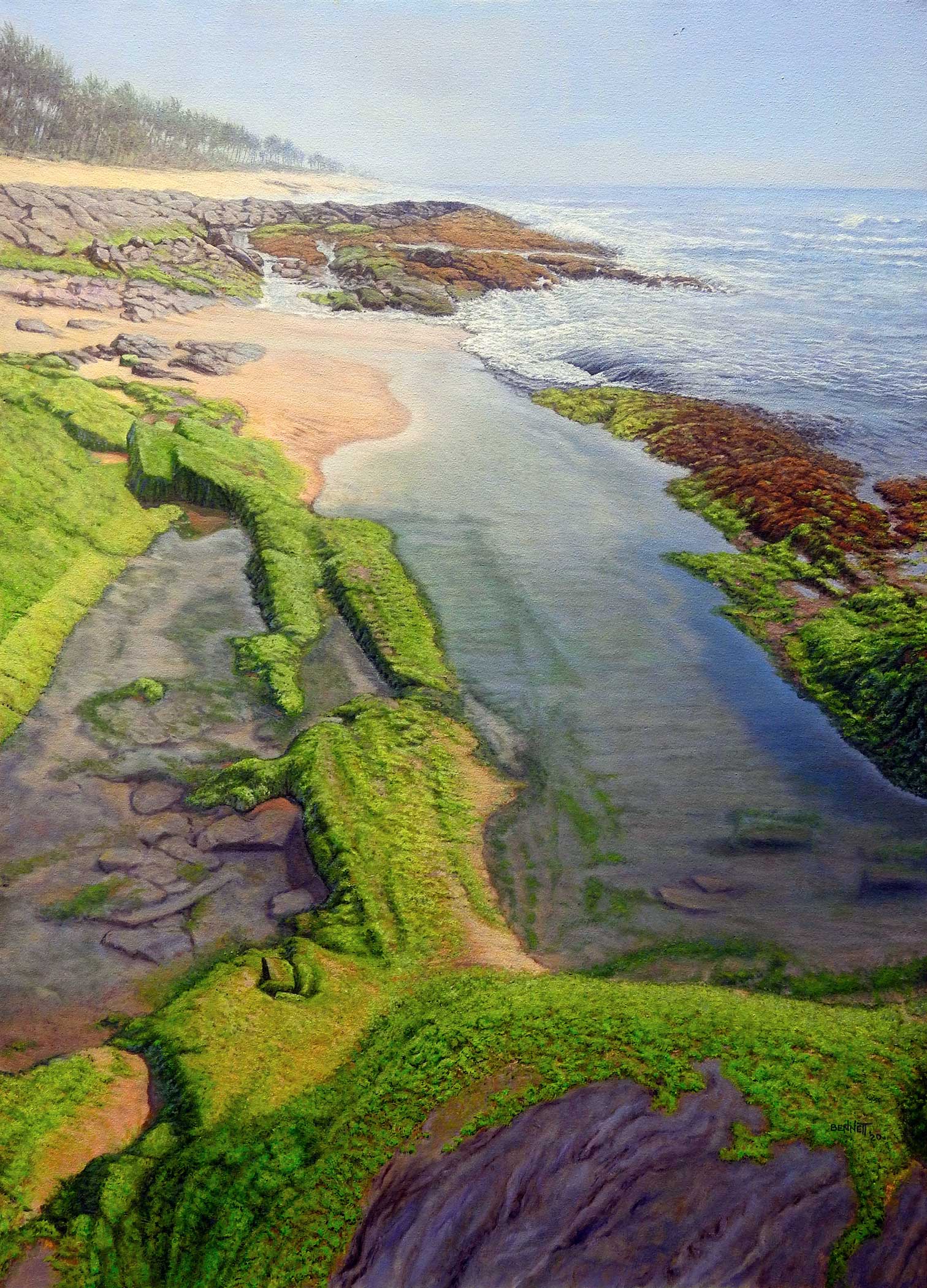 Tide Pools, West Africa