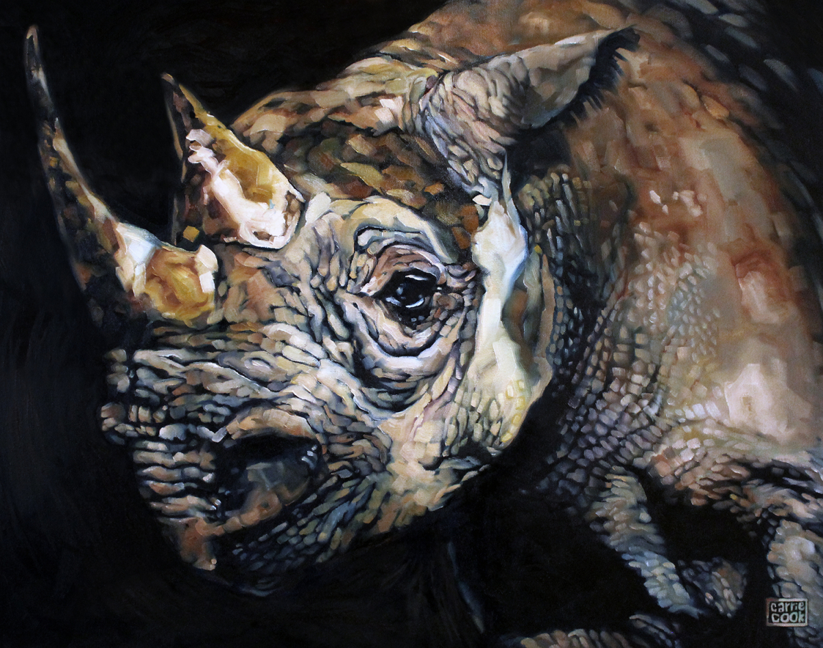 The Vanishing - Western Black Rhino, Now Extinct