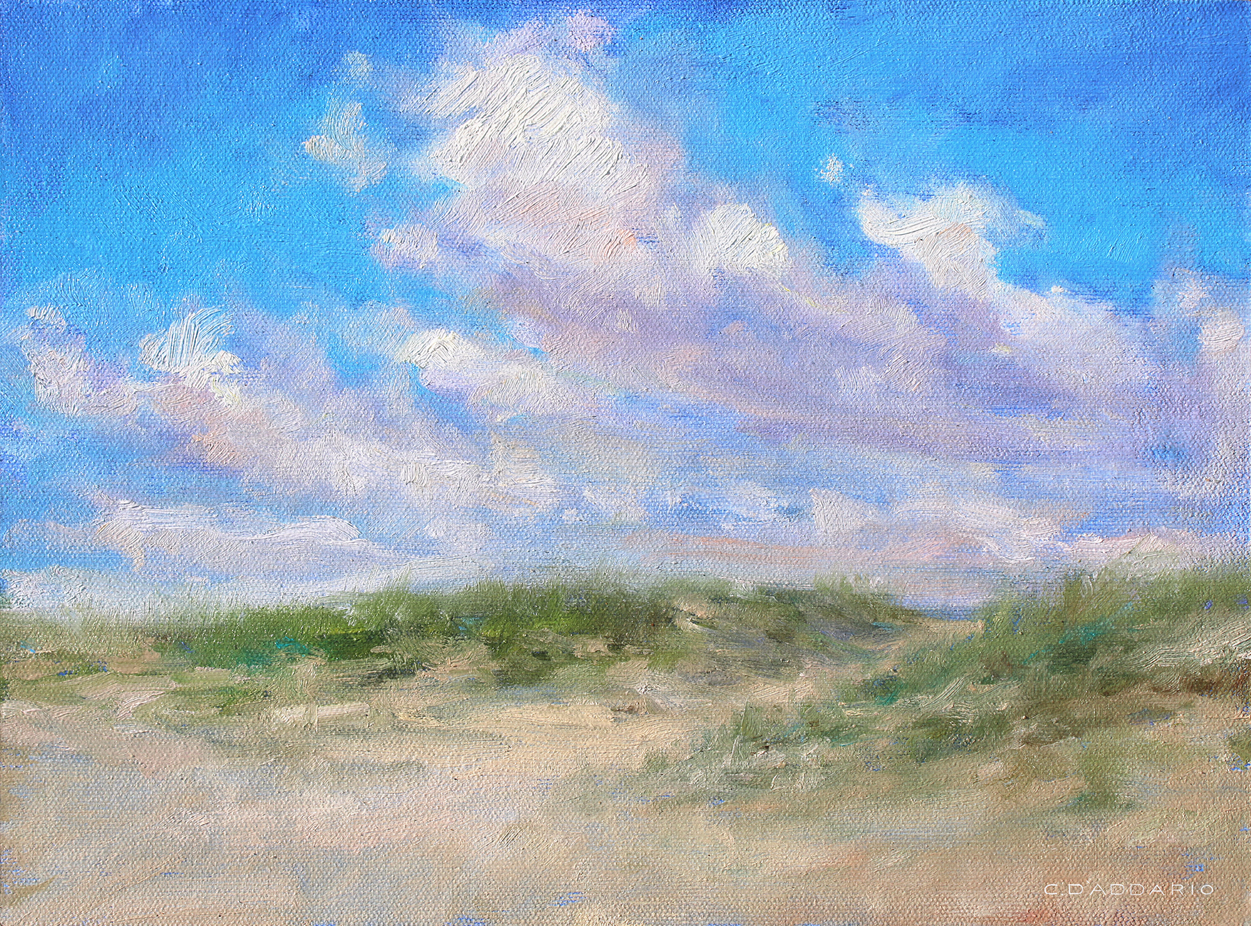 Moving Clouds Over Dune Beach