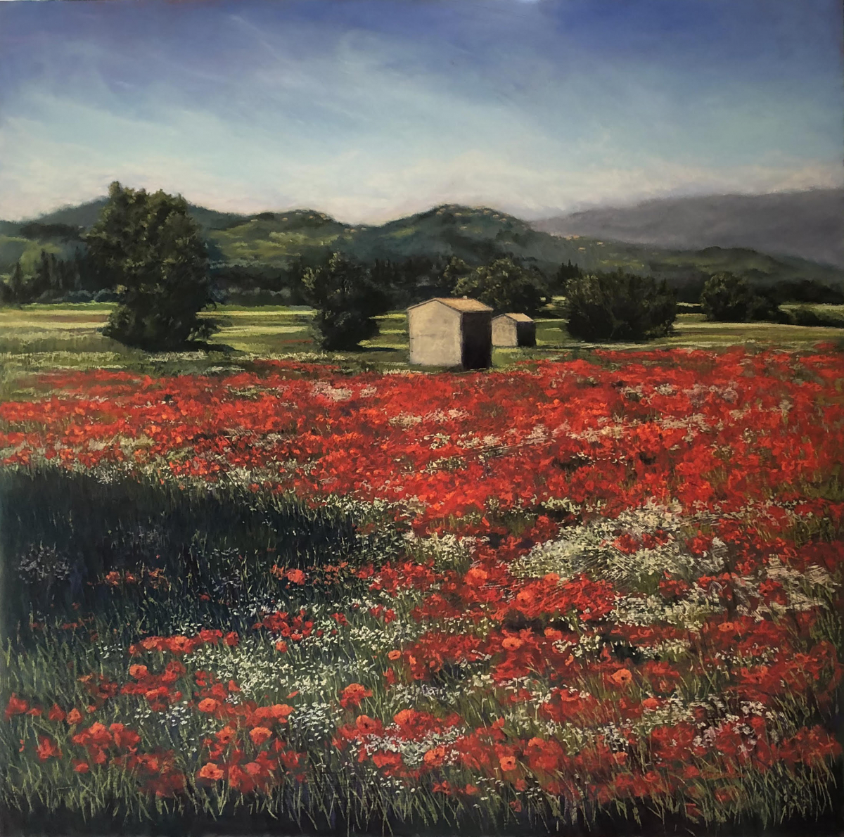 "Poppy Field, Provence"