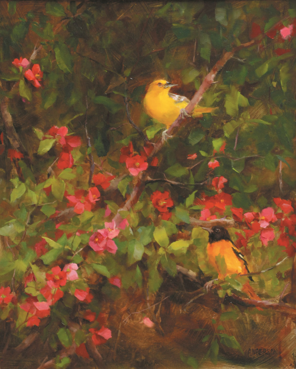Quince and Orioles