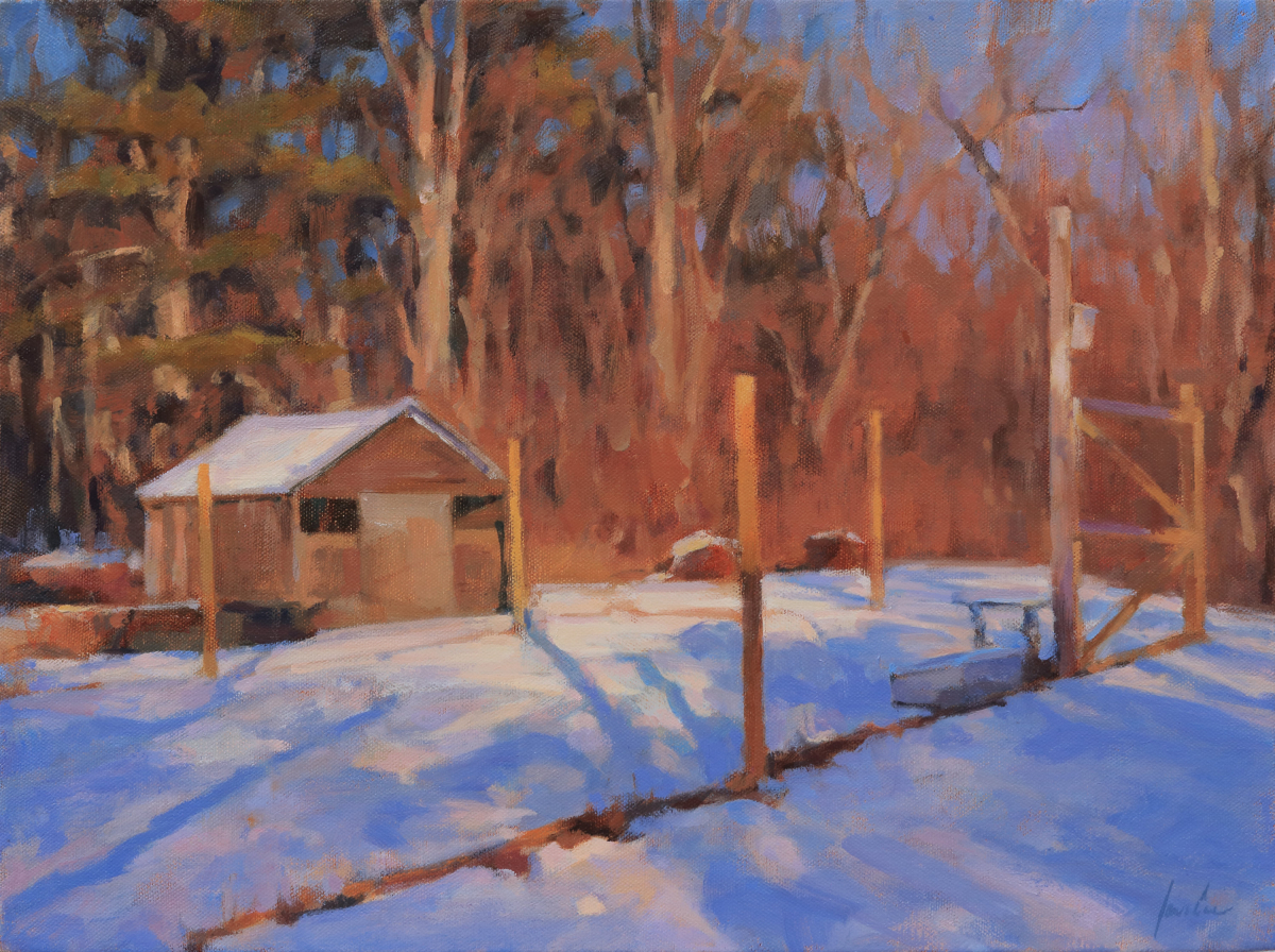 Snow and Shadows on the Garden