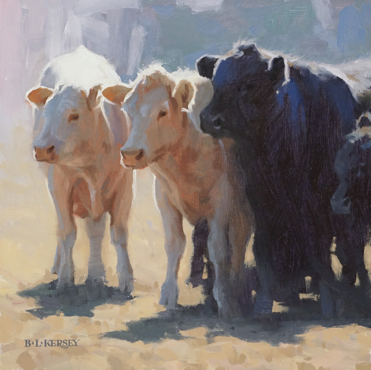 Sunny Cows