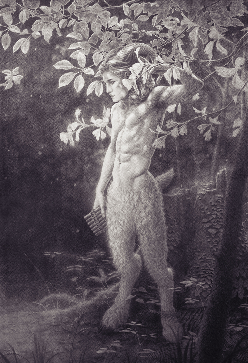 Fawn