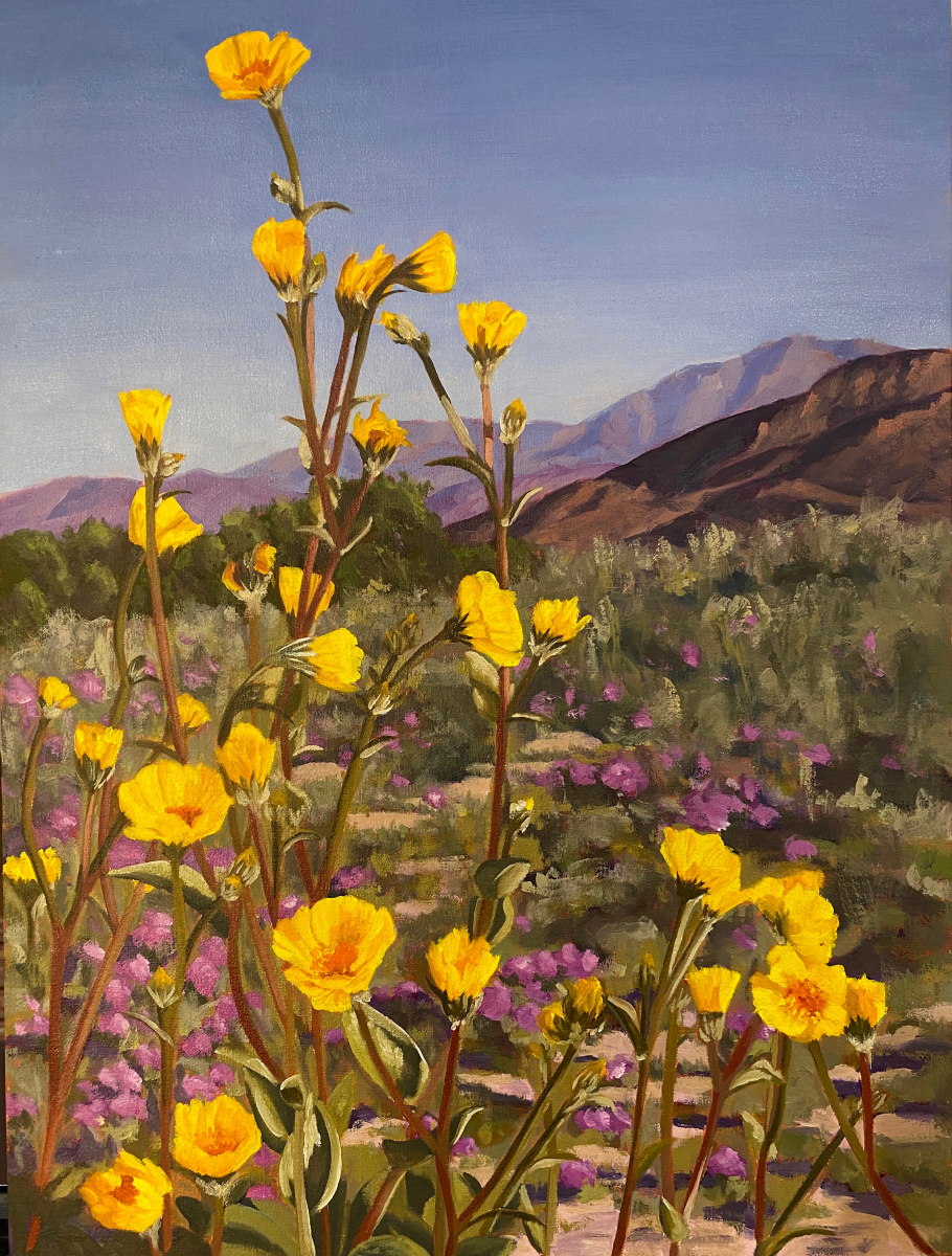 Desert Sunflower and Sand Verbena Superbloom