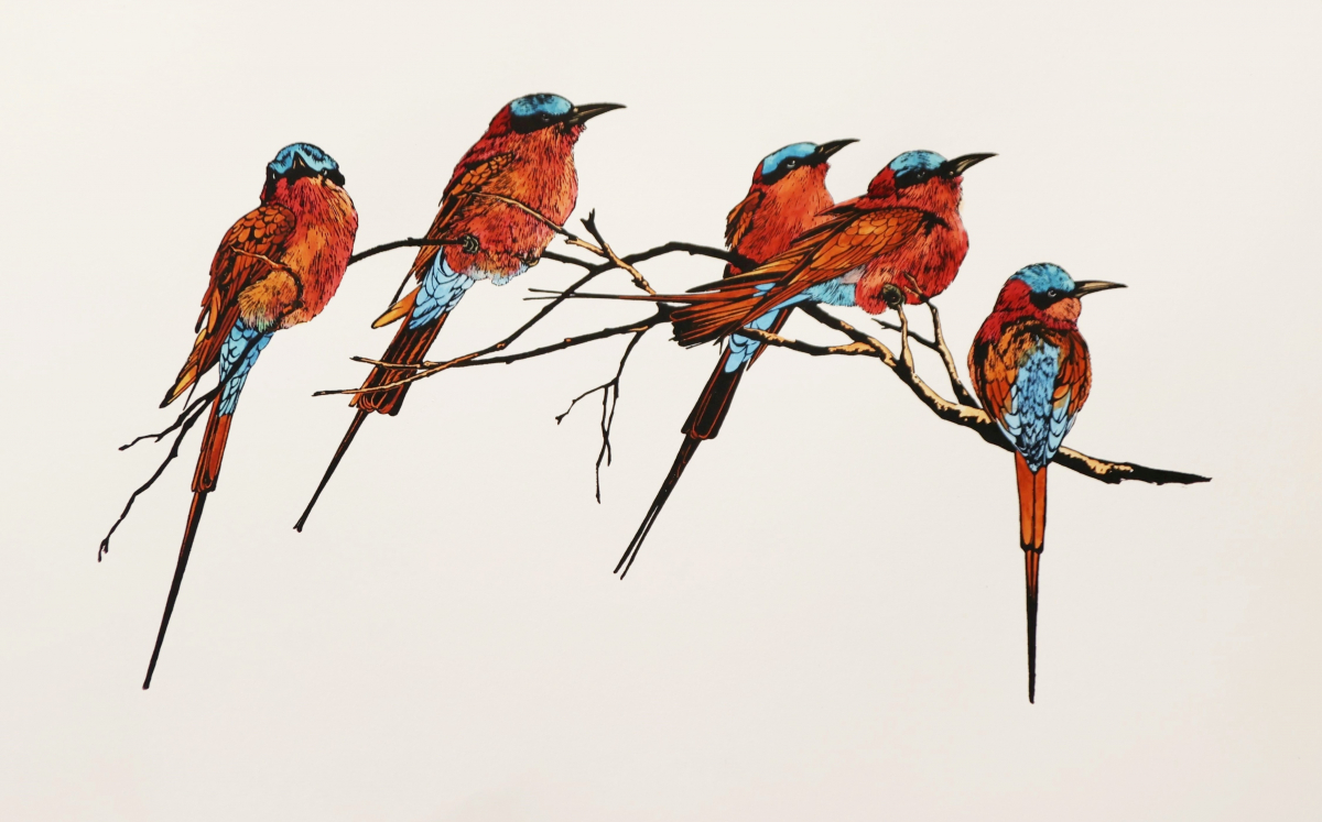 Carmine Bee-eaters