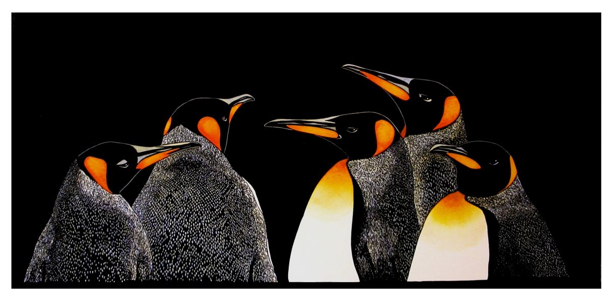 King Penguins