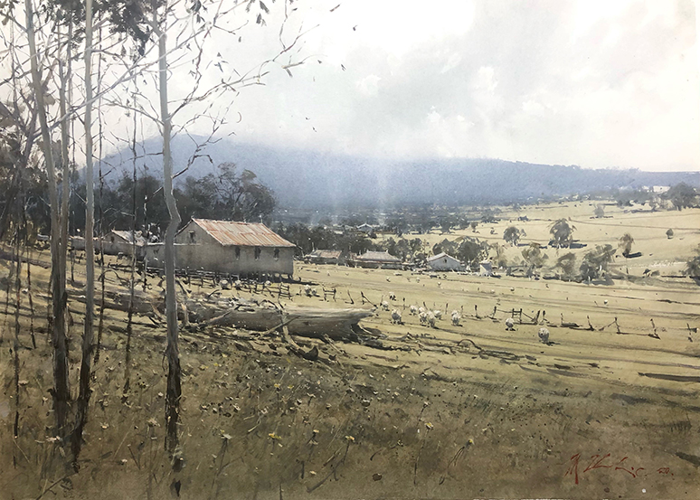 "Sheep Country"