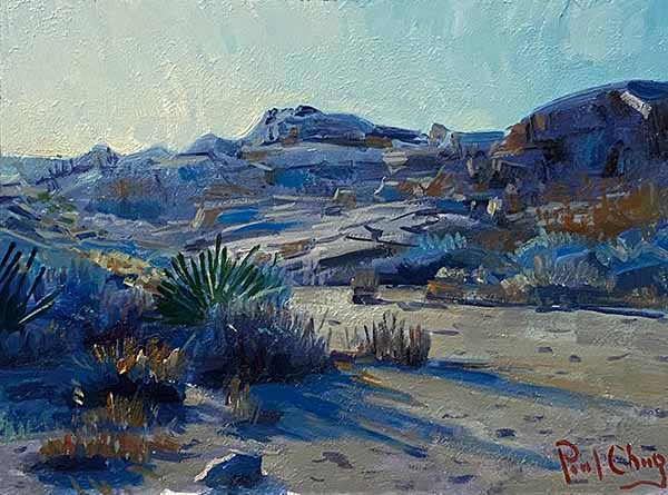 Joshua Tree Park, CA #3